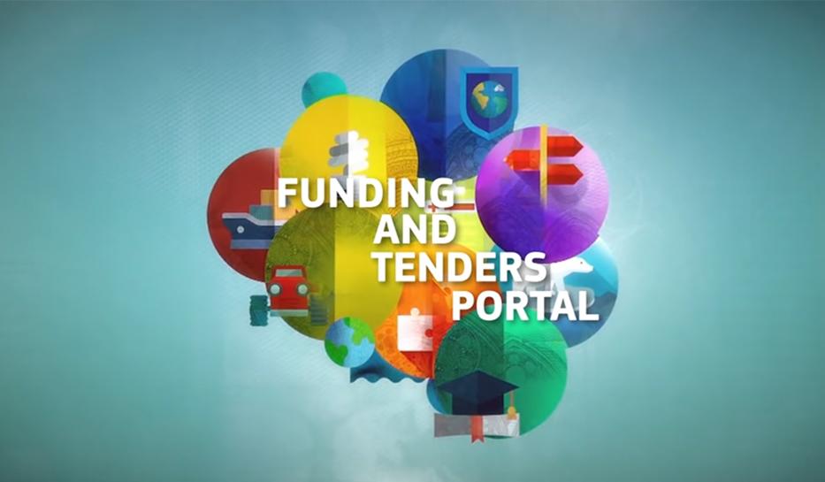 The Funding & tenders Portal for beginners