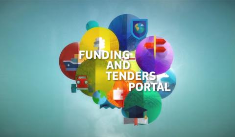The Funding & tenders Portal for beginners
